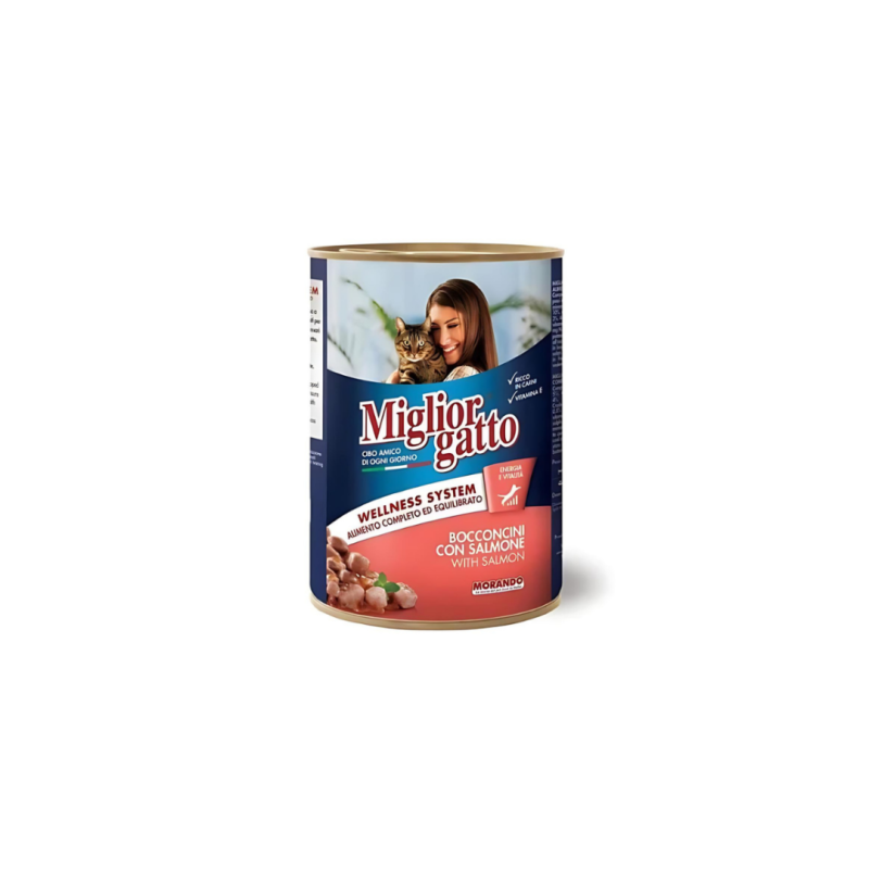 Miglior Gatto Wet Cat Food Chunks with Salmon 400G