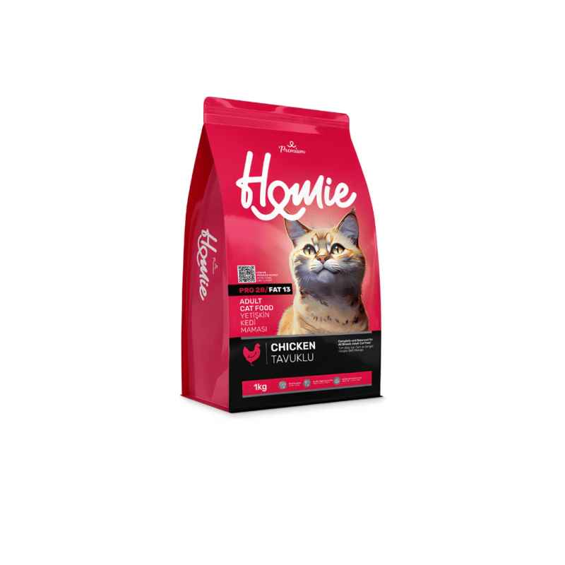 Homie cat adult chicken
