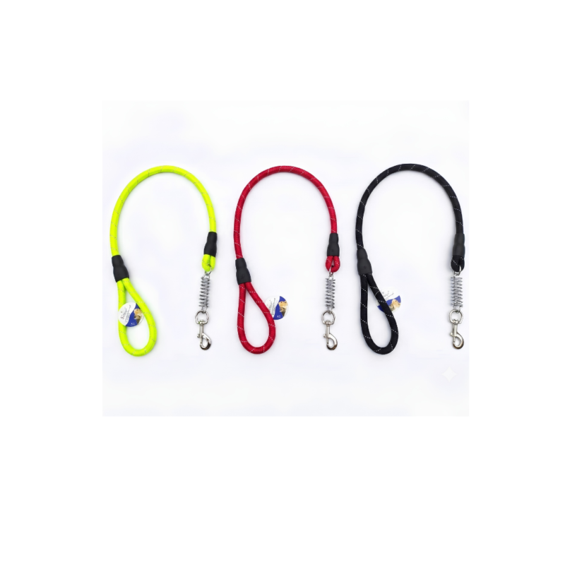 Bomei pet dog leash large dog