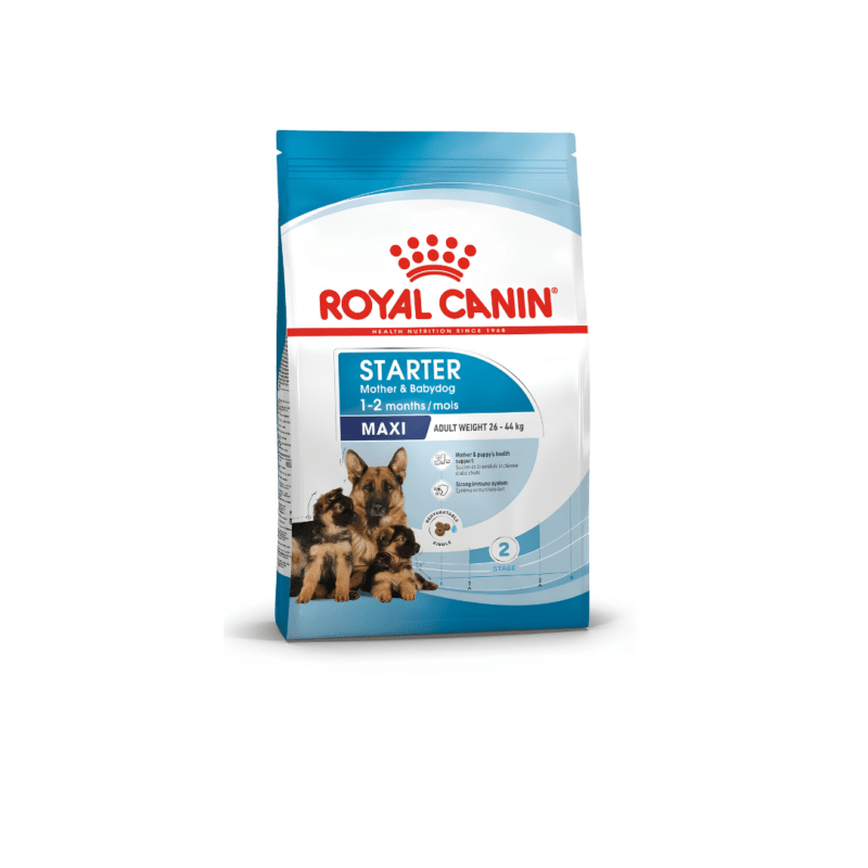 Royal Canin Maxi Starter Mother And babydog 4kg