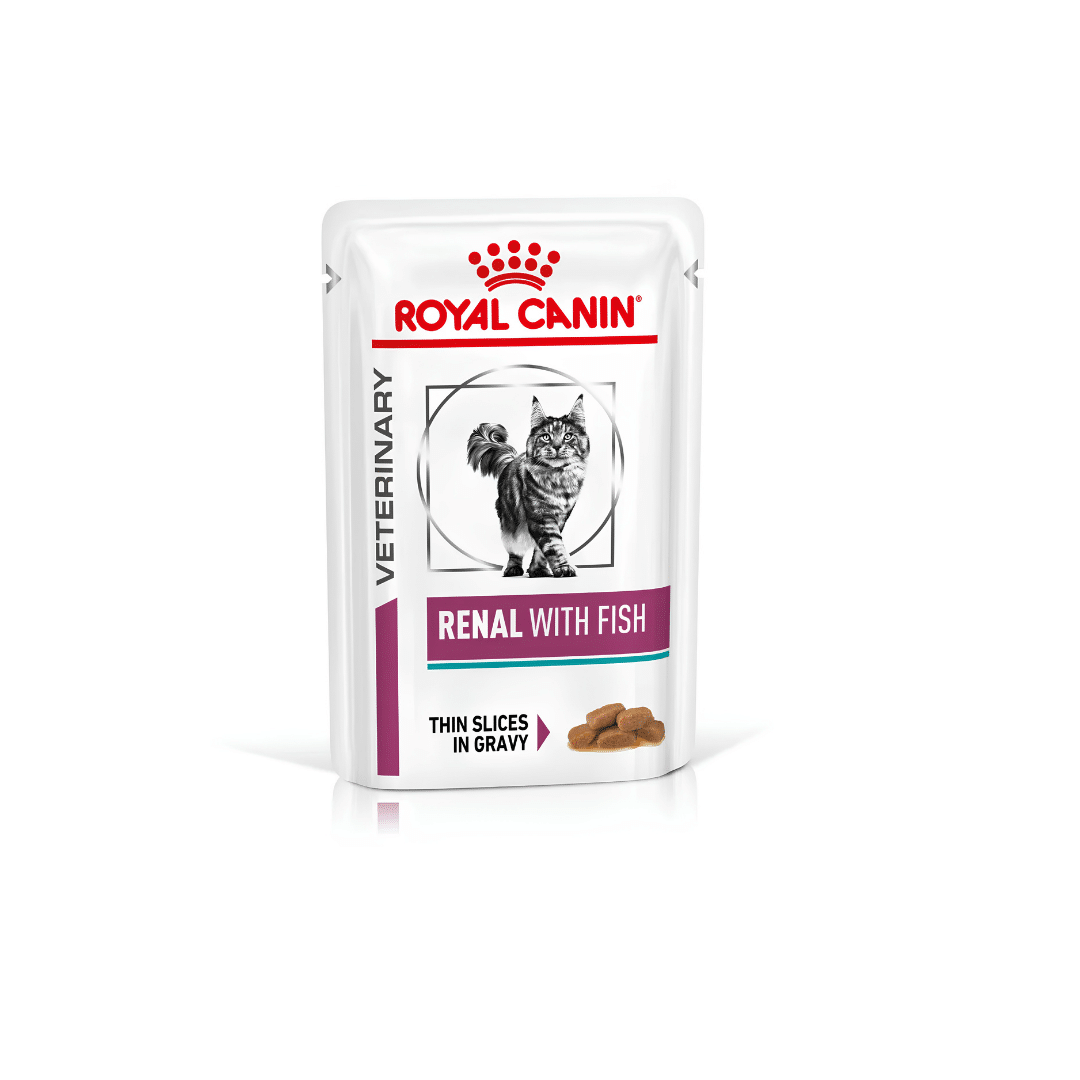 Royal Canin Renal Adult Cat Wet Food with Fish Pouch 85gm Royal Canin Renal Adult Cat Wet Food with Fish Pouch 85gm