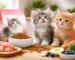 best kitten food brands