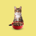 Cat food