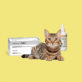 Cat vaccines & medicines