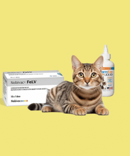 Cat vaccines & medicines