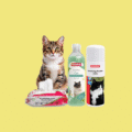 Cat Hygiene & Grooming