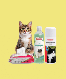 Cat Hygiene & Grooming