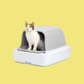 Cat litter boxes