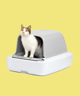 Cat litter boxes