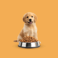 Dog food