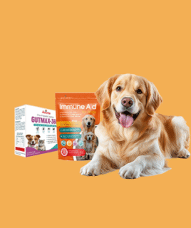 Dog vaccines & medicines