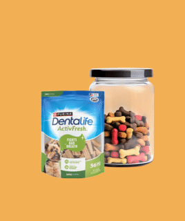 Dog Treats & Supplements