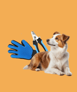 Dog Hygiene & Grooming