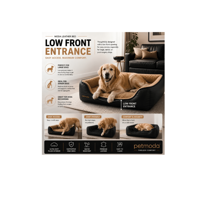 Moda Classic Leather Bed - Image 10