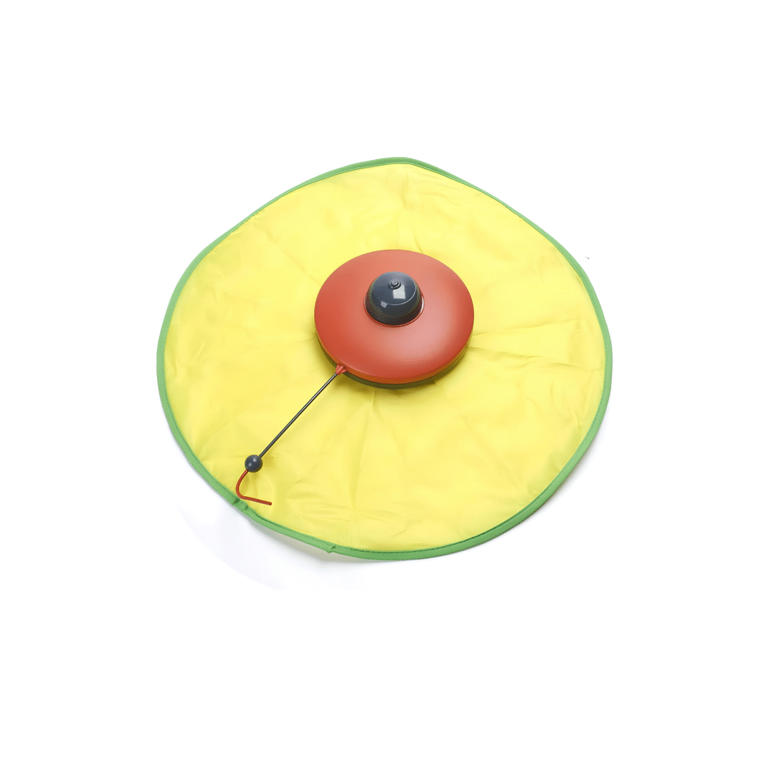 Cat Chase Interactive Toy Cat Chase Interactive Toy