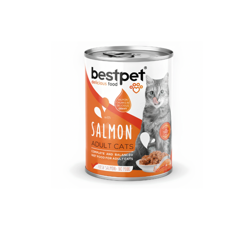 Bestpet Adult Cat Wet Food Can With Salmon 400gm