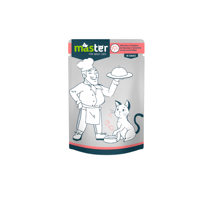 Master Wet Cat Food Meat In Sauce 80gm