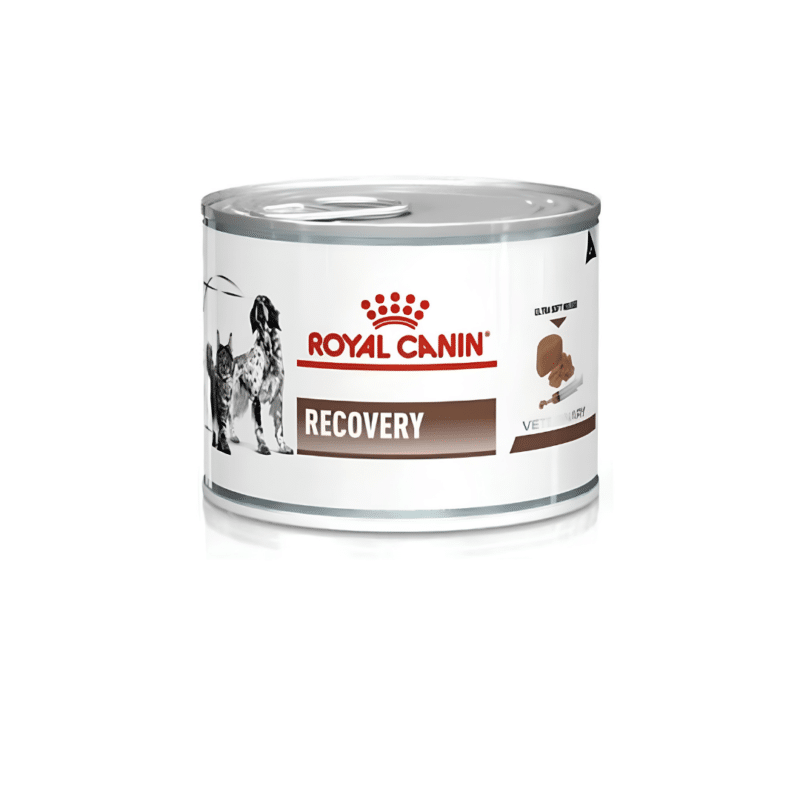 Royal Canin Recovery All Breeds Adult Dog & Cat Food Can 195g
