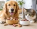 treats for dogs and cats